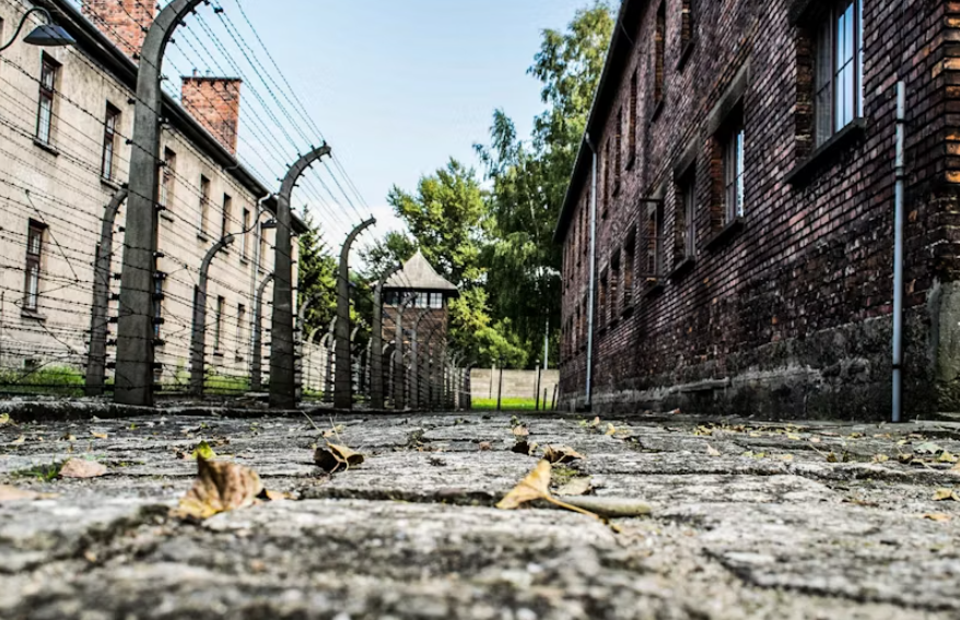 Auschwitz Shuttle - Image 4